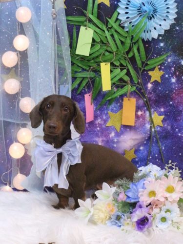 20250704チョペくん